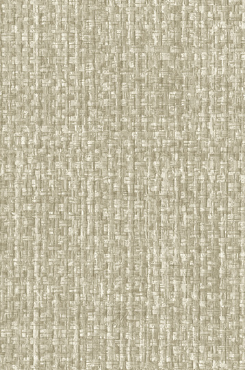 W2-DV-05