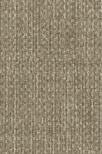 W2-DV-06