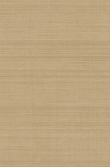 W2-MU-17